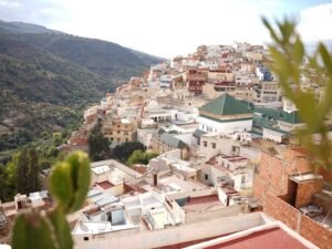 Panoramic view over the historic Medina of Fes surrounded by green hills.